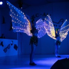 Generalprobe Damensitzung